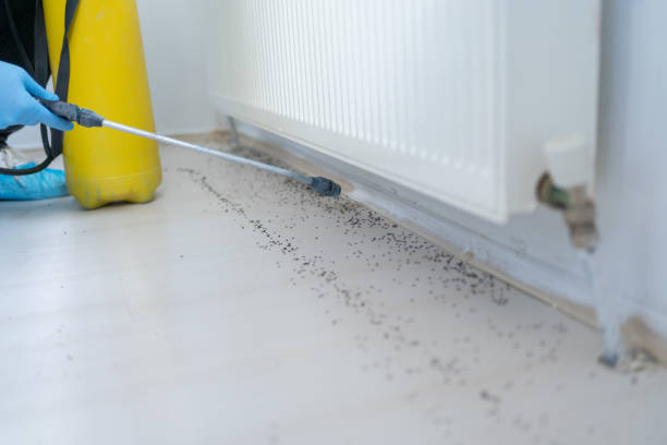Best Residential Pest Control  in Kane, PA